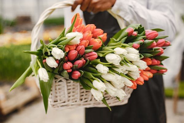 Interflora livraison : bouquets frais et service rapide au top